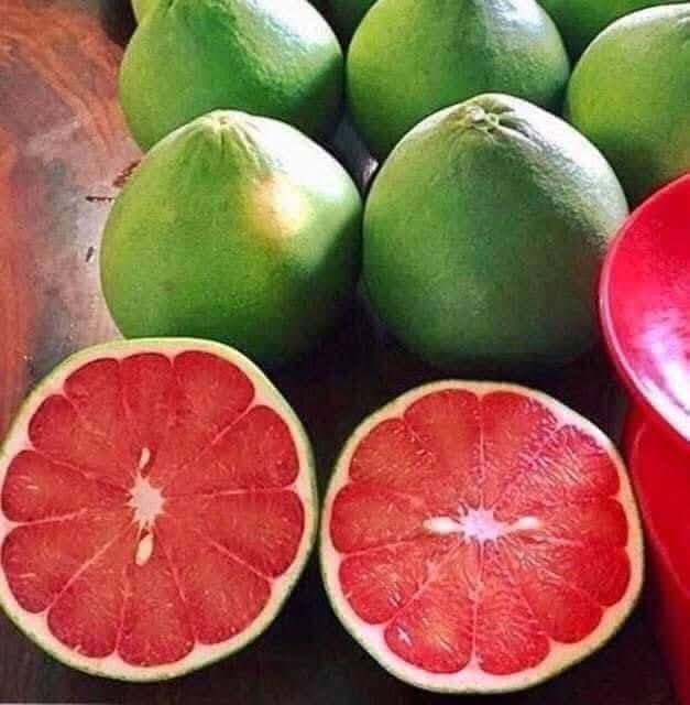 Bưởi Da Xanh - Hình ảnh 3