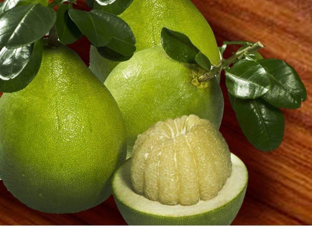 Bưởi Năm Roi - Hình ảnh 2