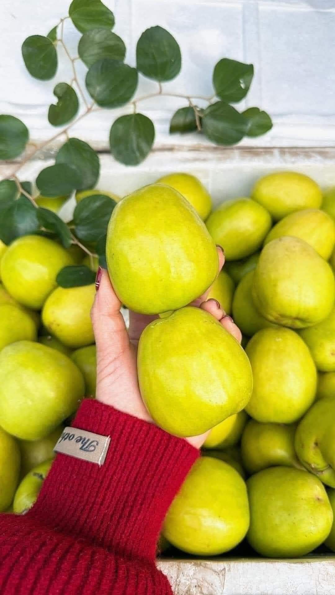 Táo Đại Mật - Hình ảnh 2