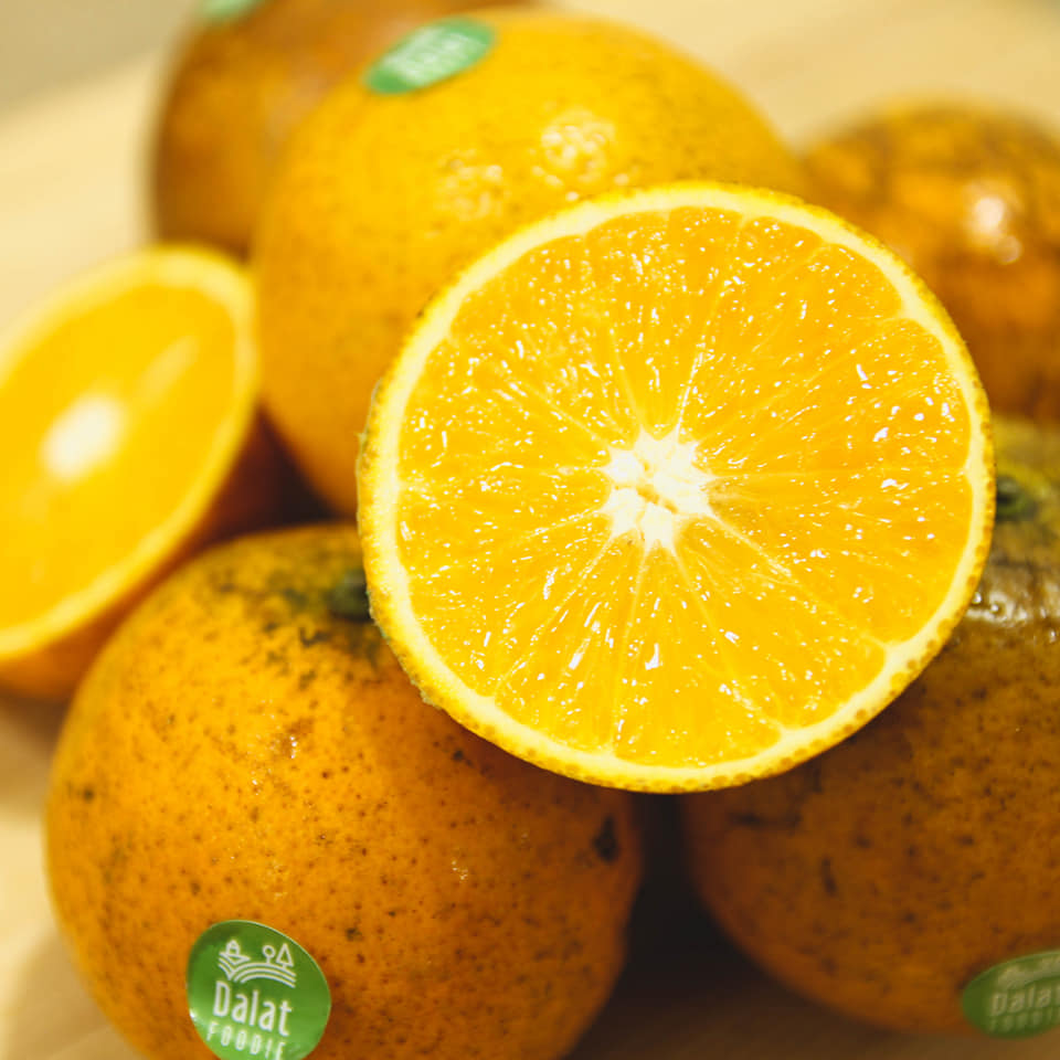 Cam Vinh - Hình ảnh 2