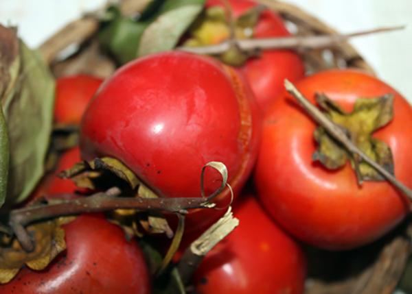 Hồng Đỏ - Hình ảnh 4